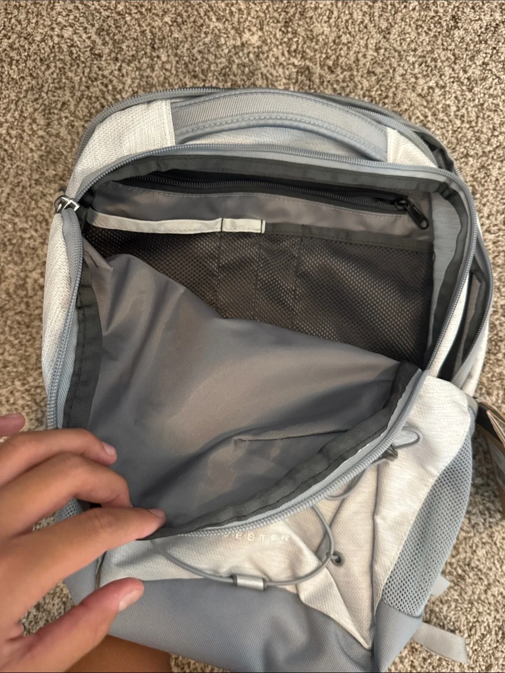 The North Face Light Gray Backpack with Bungee Front